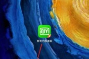 爱奇艺极速版怎么设置字体大小？爱奇艺极速版设置字体大小教程